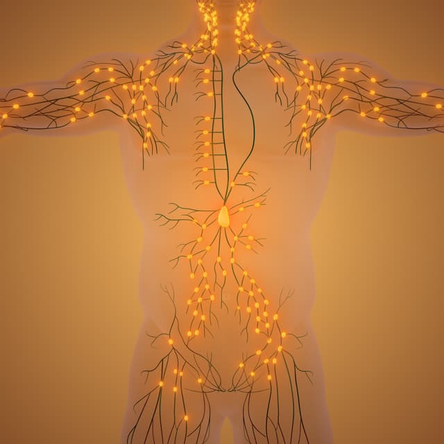 MLD Advanced | Buy 5, Get 6. at Ela Massage Studio LLC in Woodstock, IL